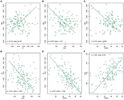 Intra- and inter-specific responses of plant functional traits to environmental variables: implications for community ecology in the tropical monsoonal dwarf forest on Hainan Island